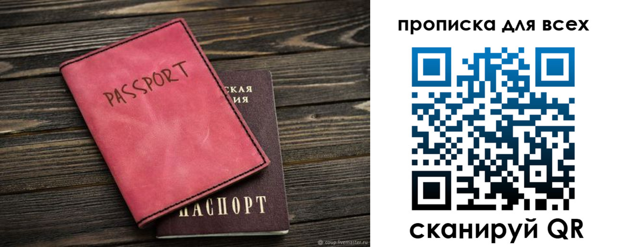 прописка гарантия в Светлограде